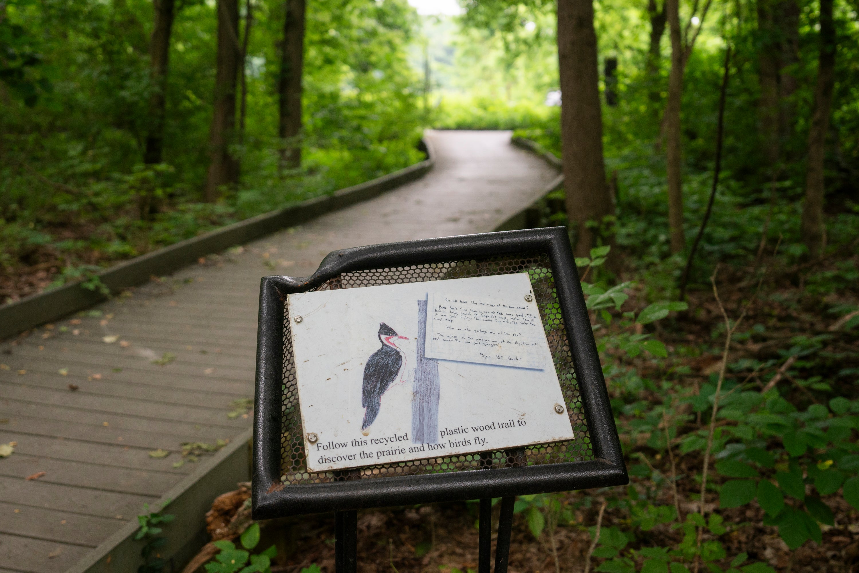 Photo of trail marker with woodpecker. Behind is a wooden boardwalk.